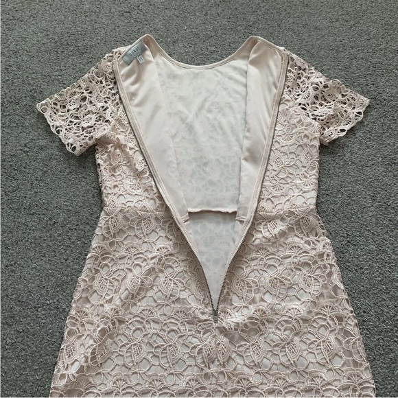 Coast Lace Shift Mini Dress Size 16 Short Sleeve Blush Pink Back Zip - Picture 4 of 12